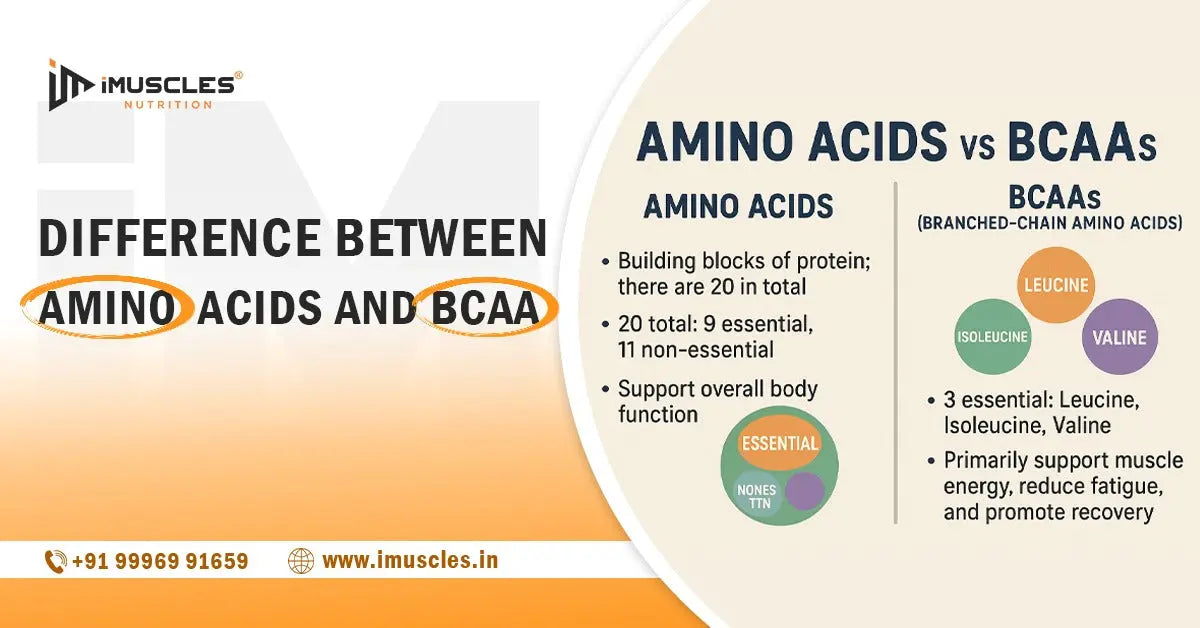 l carnitine vs bcaa Difference Between Amino Acids and BCAA
