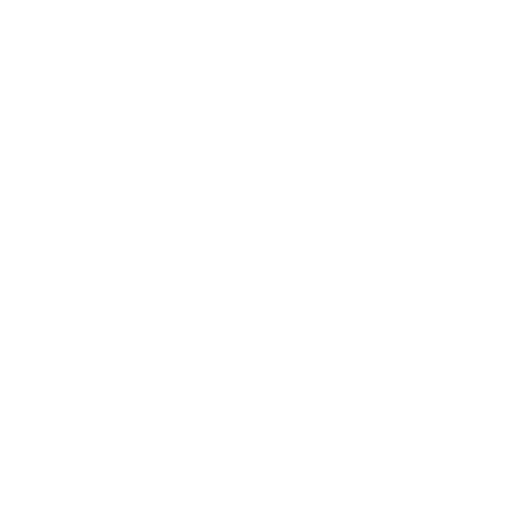 made  in india