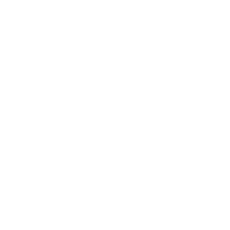 secure payment