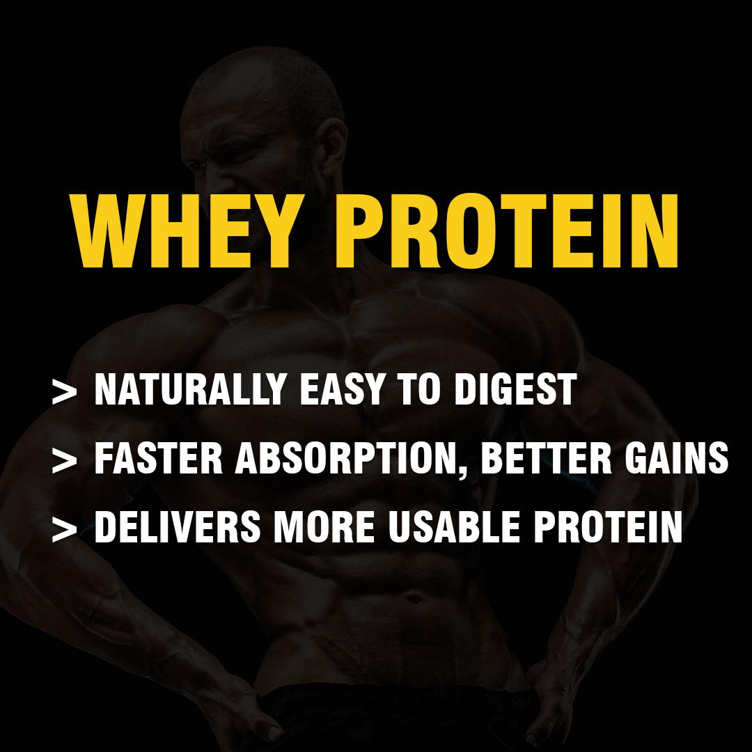 Gainz4Ever Whey Protein – Best Whey Protein for Muscle Gain, Weight Loss & Recovery