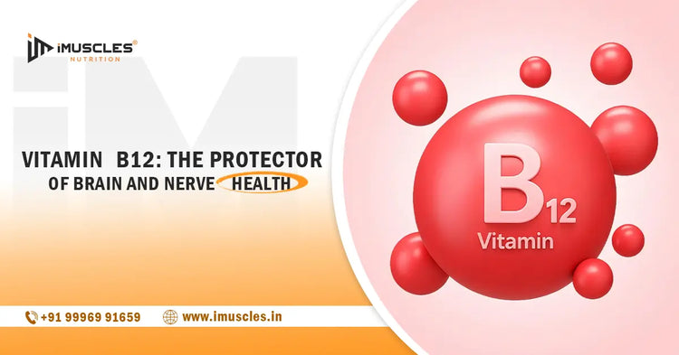 Vitamin B12: The Protector of Brain and Nerve Health iMuscles Nutrition