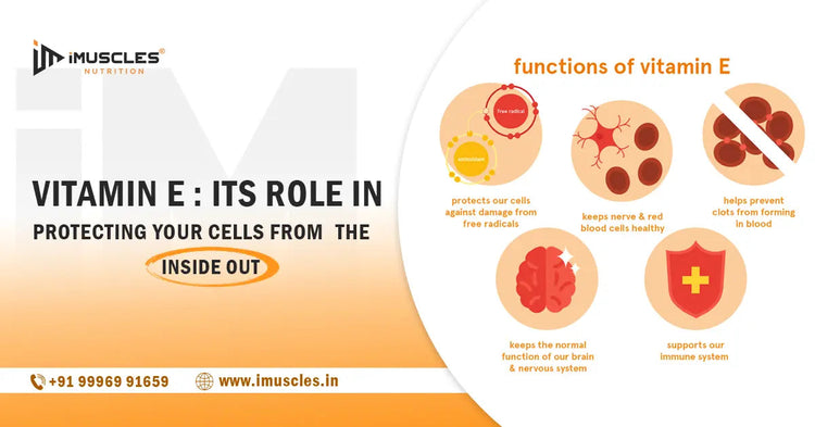 Vitamin E : Its Role in Protecting Your Cells From the Inside Out iMuscles Nutrition