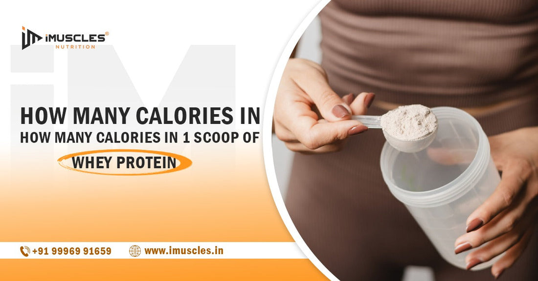 How Many Calories Are in 1 Scoop of Whey Protein? A Complete Guide