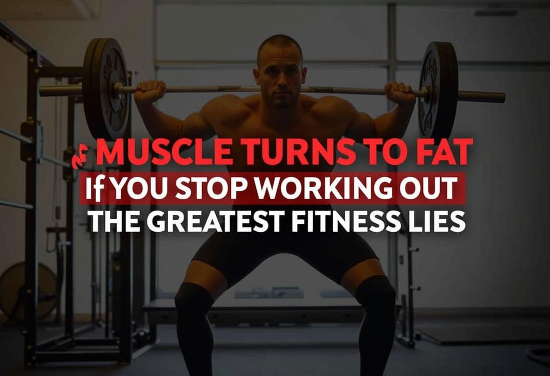 Muscle Turns to Fat If You Stop Working Out” – The Greatest Fitness Lies!