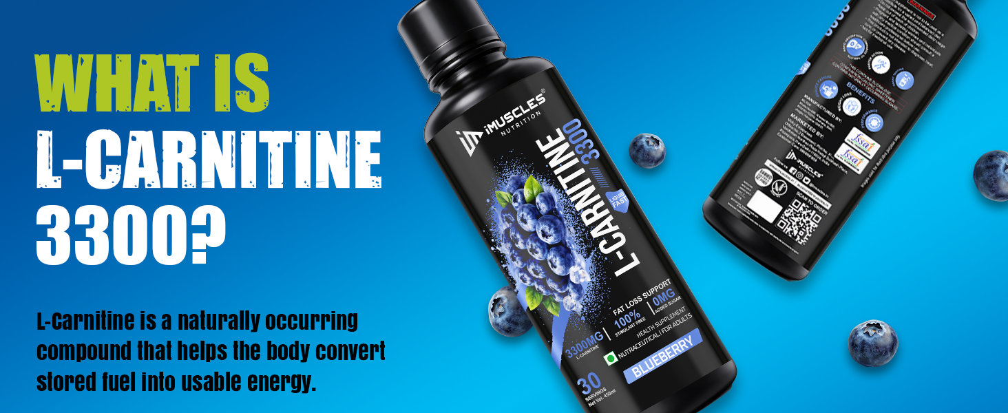 L-Carnitine 3300mg Liquid — Blueberry | Fat Loss Support | Stimulant Free | 450ml