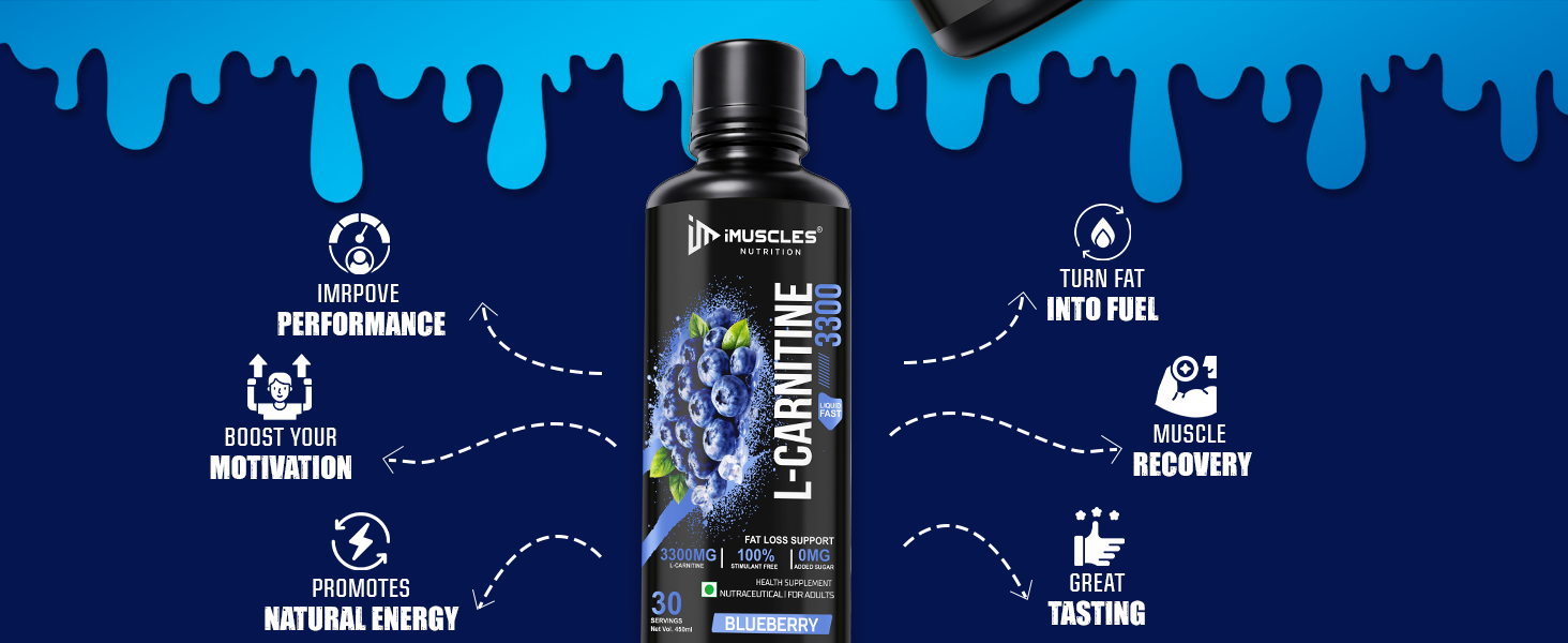 L-Carnitine 3300mg Liquid — Blueberry | Fat Loss Support | Stimulant Free | 450ml