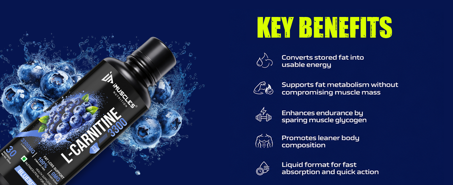 L-Carnitine 3300mg Liquid — Blueberry | Fat Loss Support | Stimulant Free | 450ml