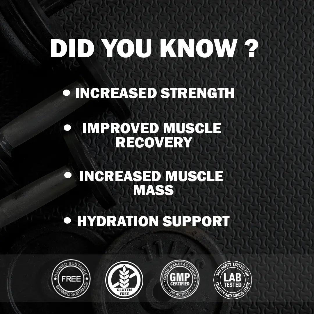 Gainz4Ever - Pure Micronised Creatine Monohydrate Powder- Unflavoured (80 Servings) Gainz4Ever