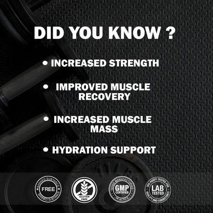 Gainz4Ever - Pure Micronised Creatine Monohydrate Powder- Unflavoured (80 Servings) Gainz4Ever
