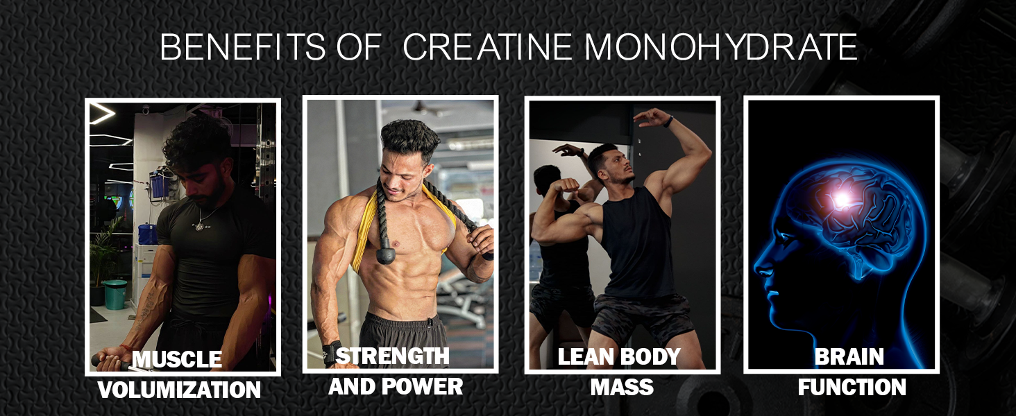 Gainz4Ever - Pure Micronised Creatine Monohydrate Powder- Unflavoured (30 Servings)