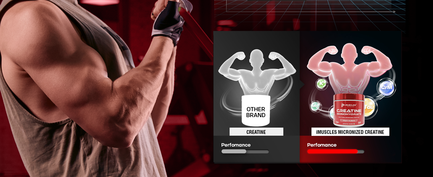 Pure Micronized Creatine Monohydrate Powder - Fruit Fusion Flavor (33 Servings)