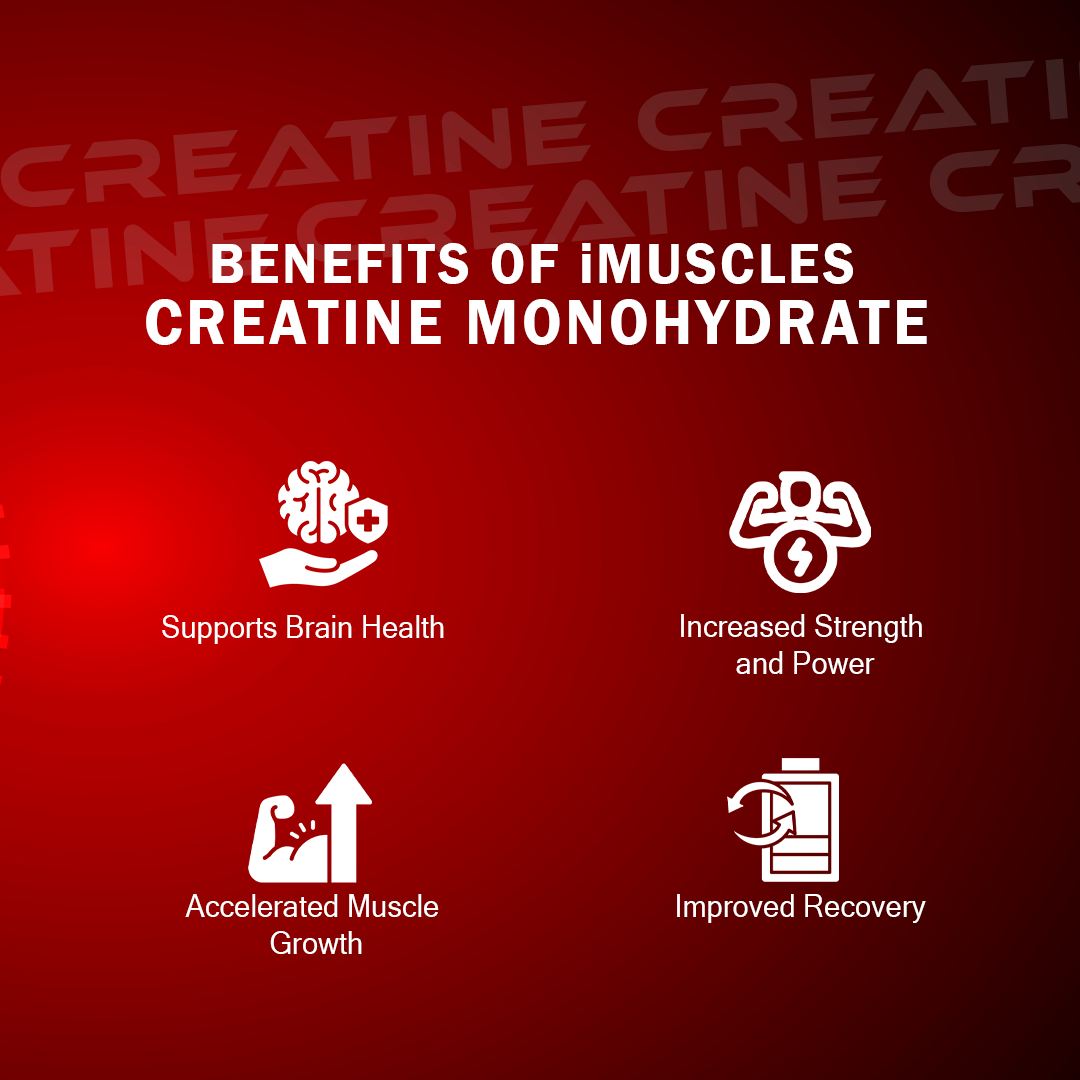 Micronised Creatine Monohydrate with Steel Shaker for Improved Recovery and Strength - Buy creatine monohydrate with shaker