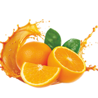 Zesty Orange