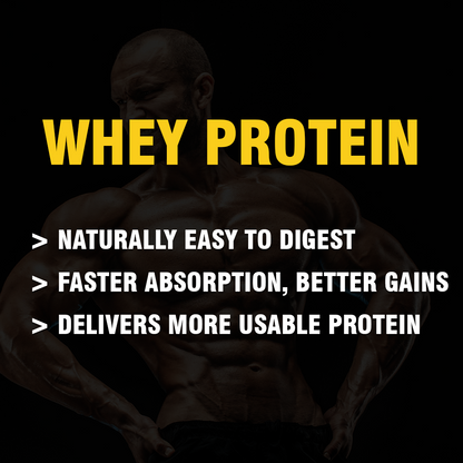 Gainz4Ever Whey Protein – Best Whey Protein for Muscle Gain, Weight Loss & Recovery